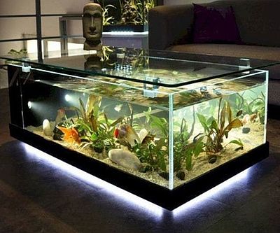 aquarium coffee table