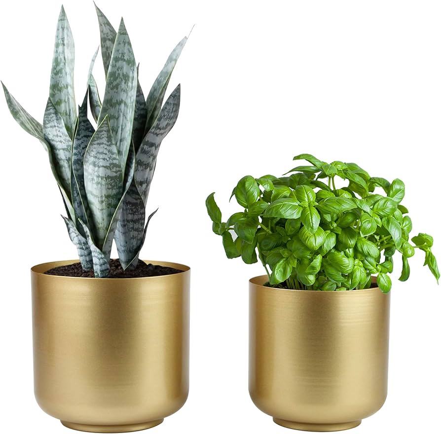 amazon planters