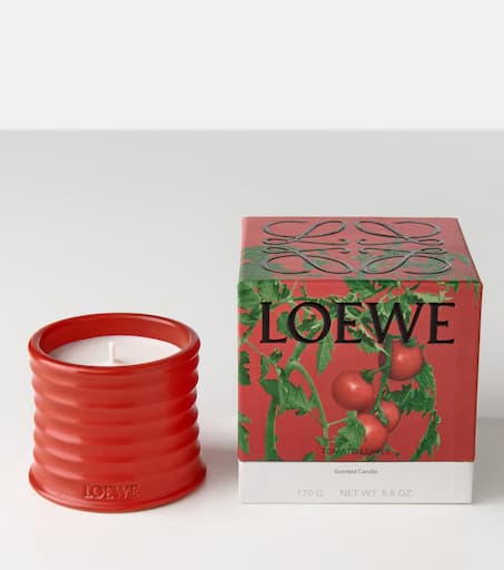 loewe tomato candle