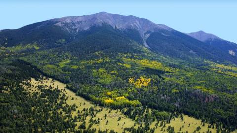 flagstaff arizona live cam