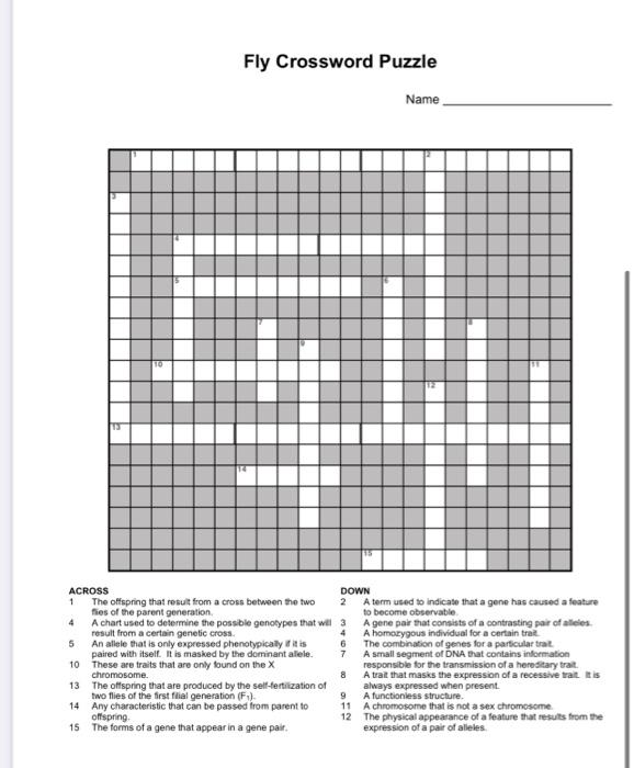 fly crossword