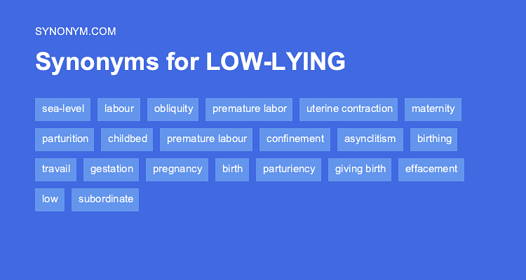 lying synonym