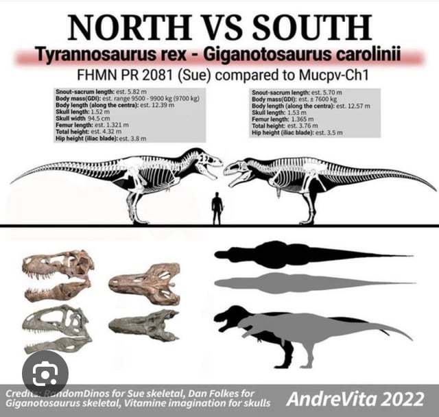 tyrannosaurus rex vs giganotosaurus