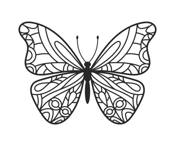 mariposas para dibujar