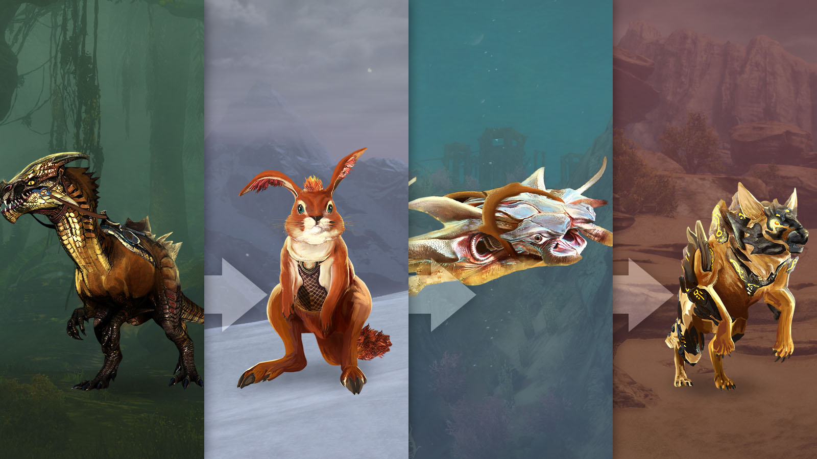 gw2 mounts