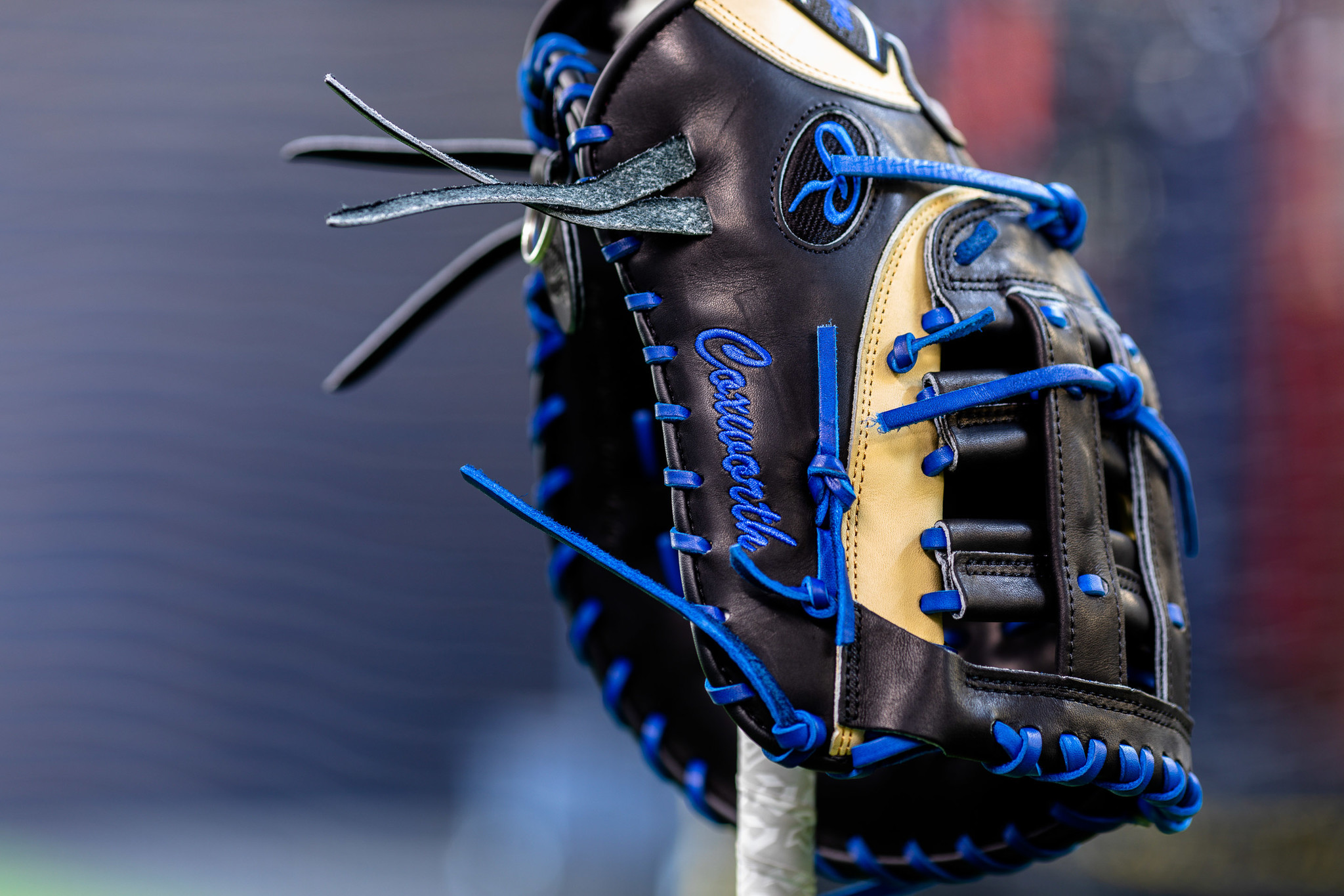 rawlings custom gloves