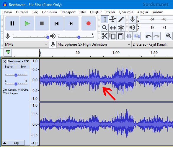 audacity ne demek