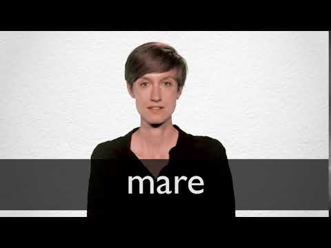 spanish word for mare