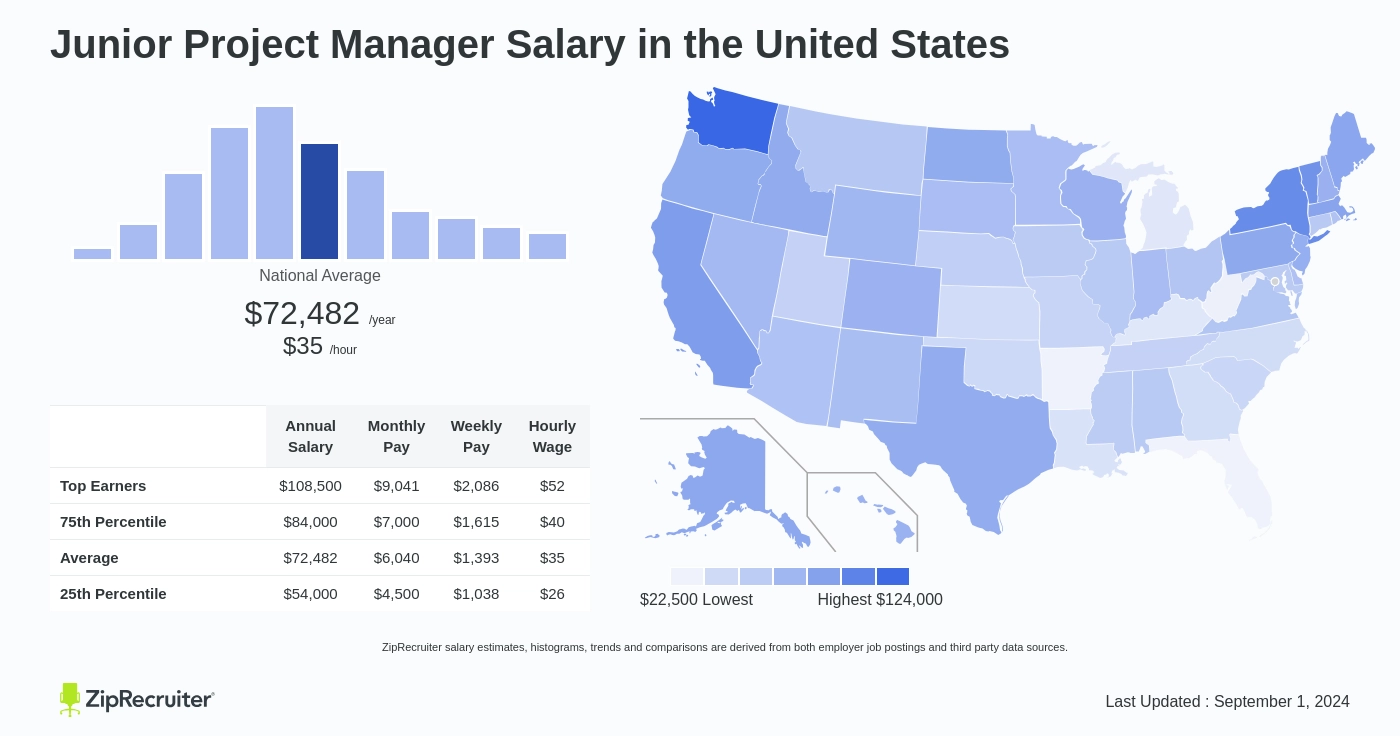 junior it project manager salary