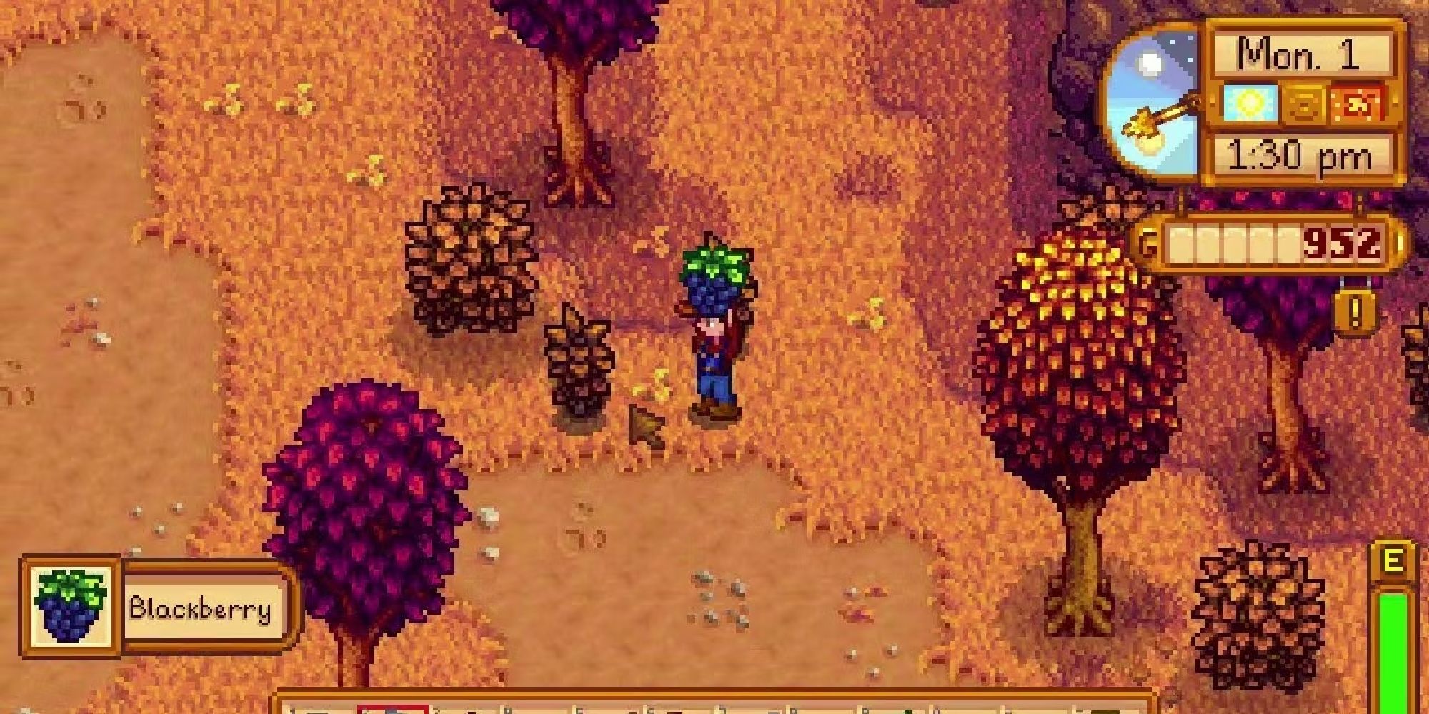 foraging stardew