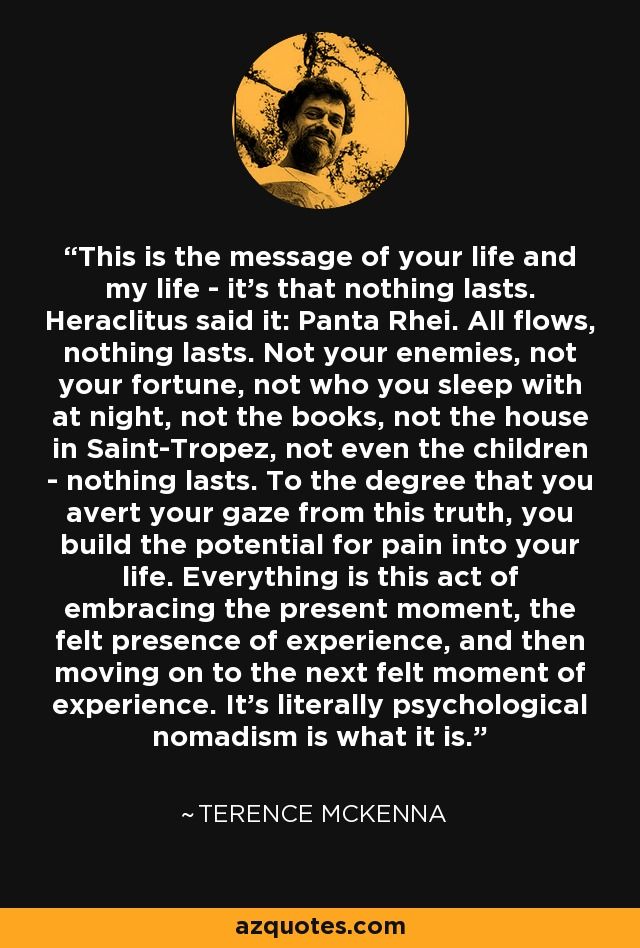 terence mckenna quote