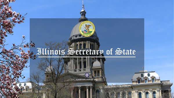 illinois sos search