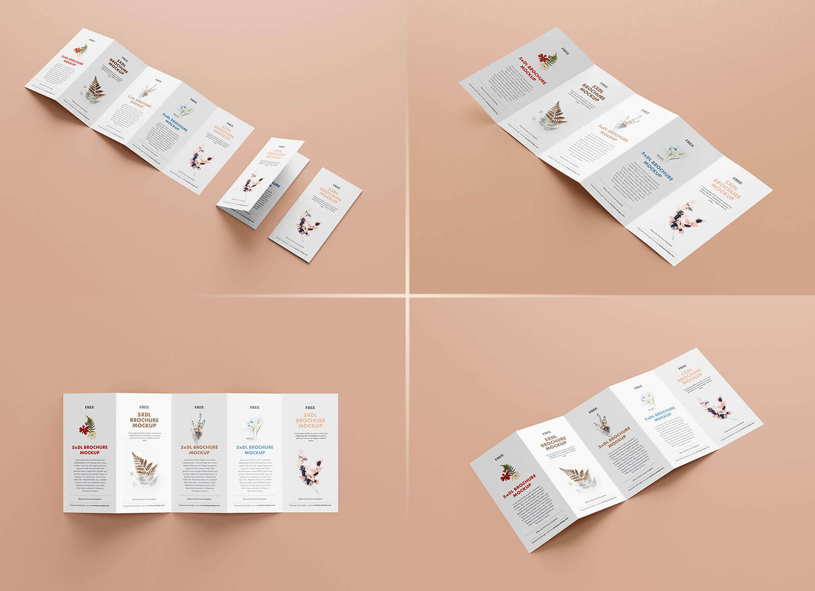 5 panel brochure template