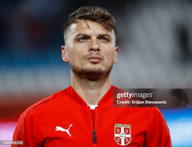 adem ljajic