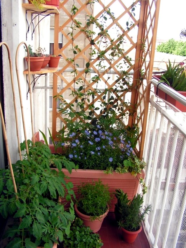 balcony trellis