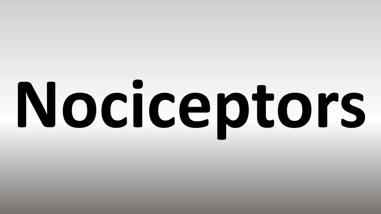 nociceptors pronunciation