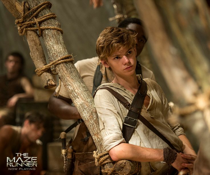 maze runner newt