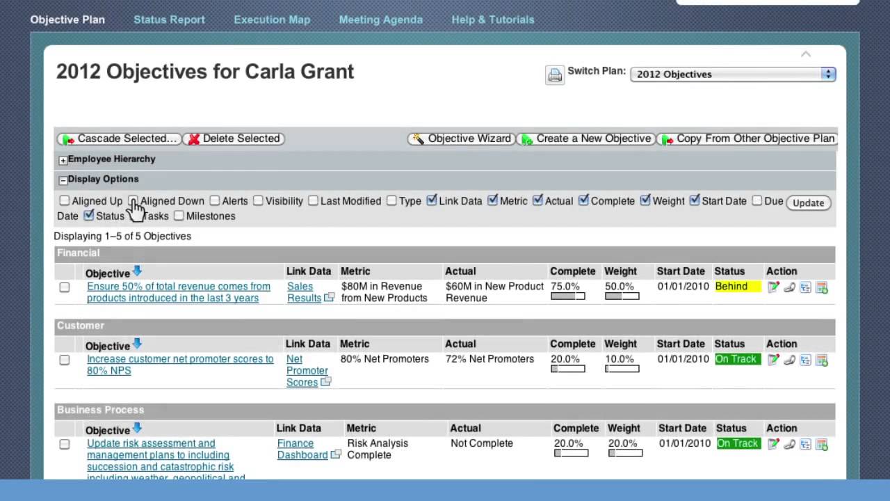 performancemanager successfactors