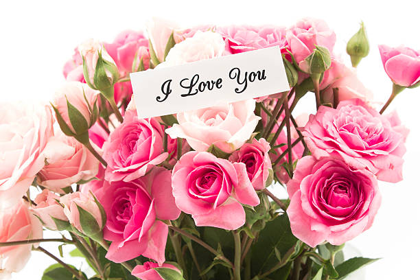 pink rose images with love