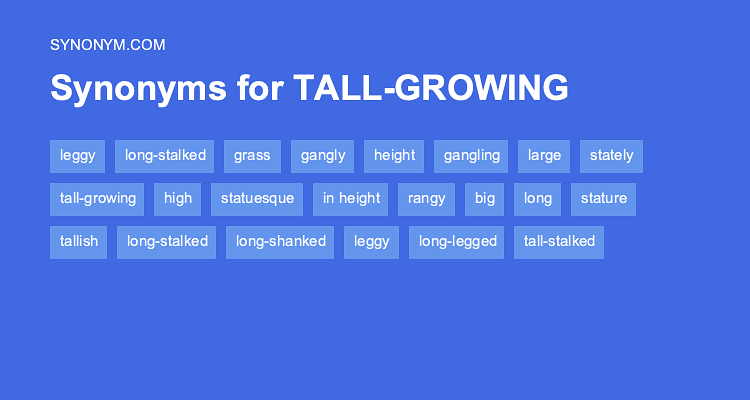 synonyms of taller