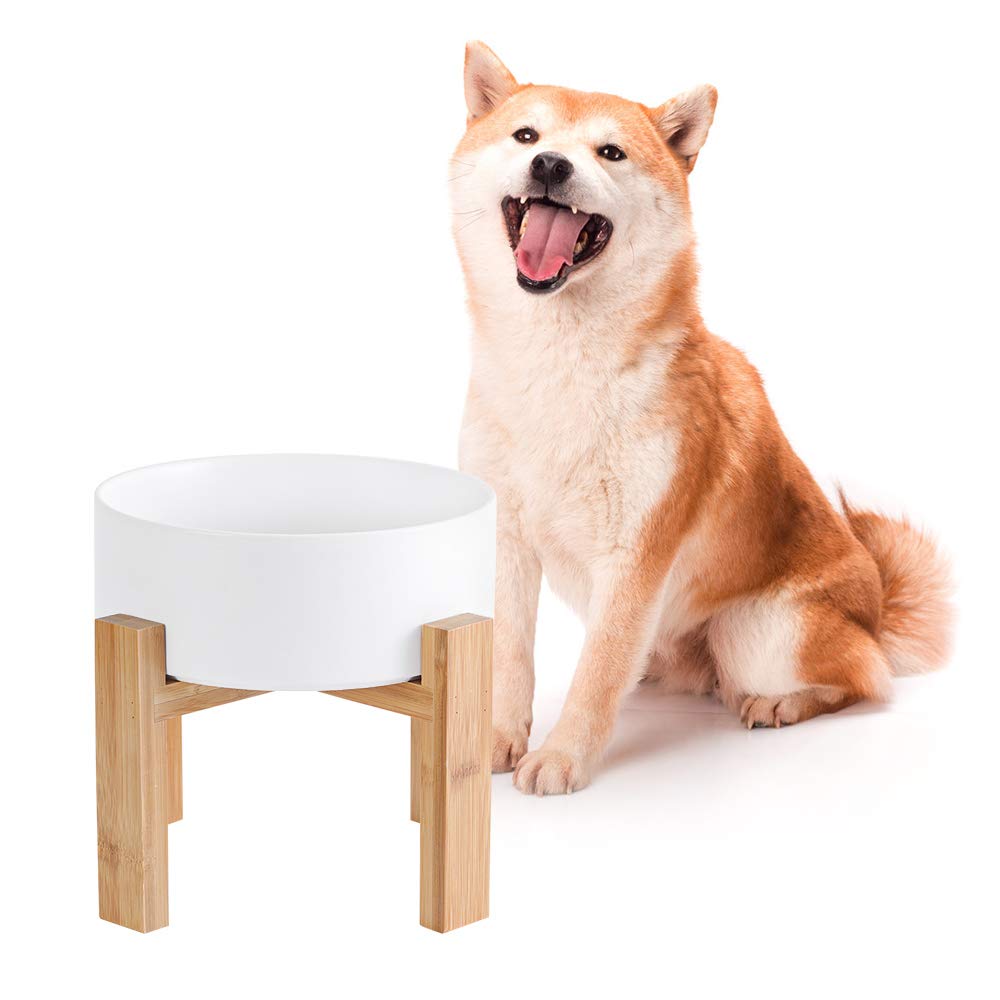 ceramic dog bowls with stand