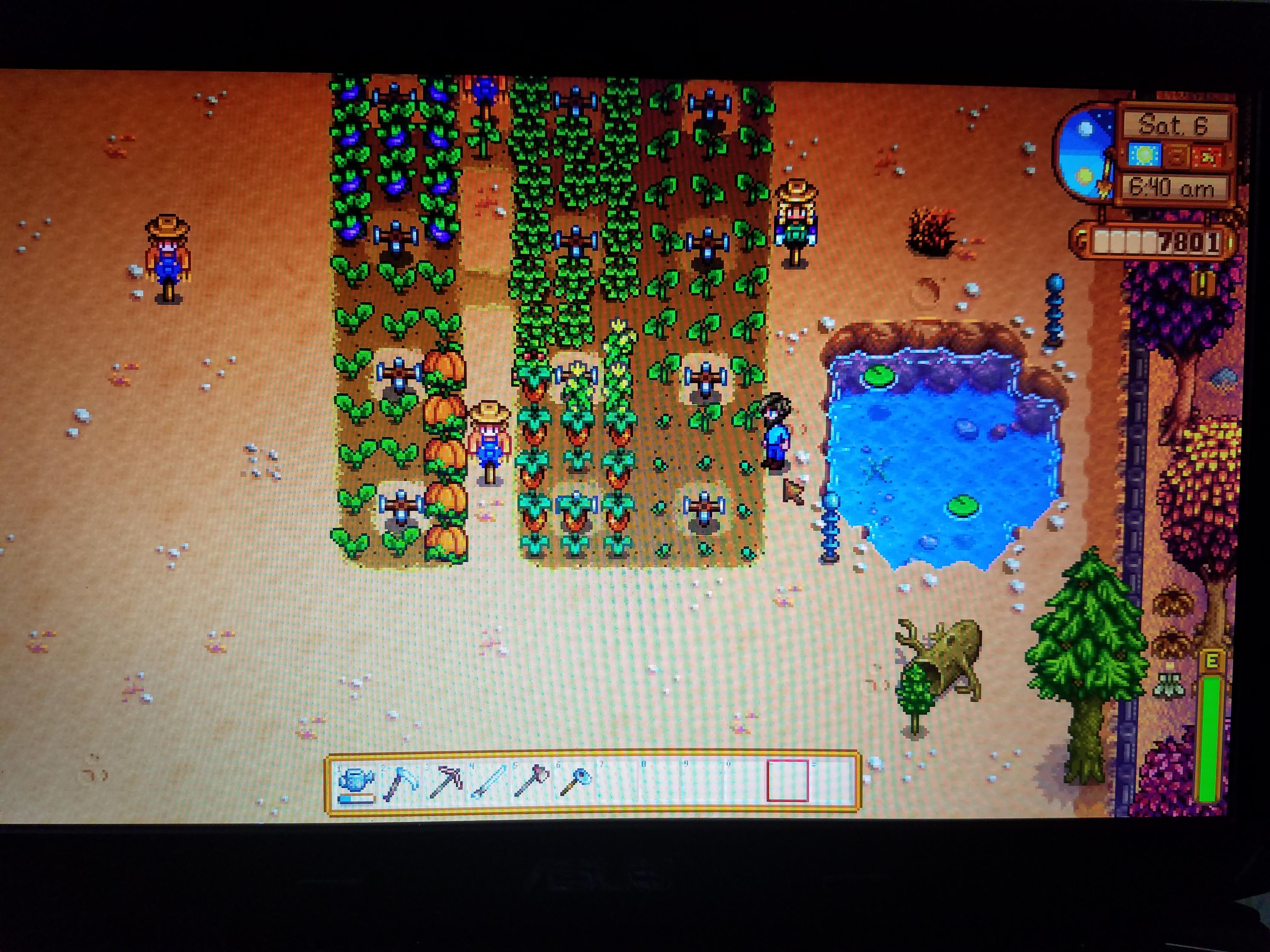 rare seed stardew