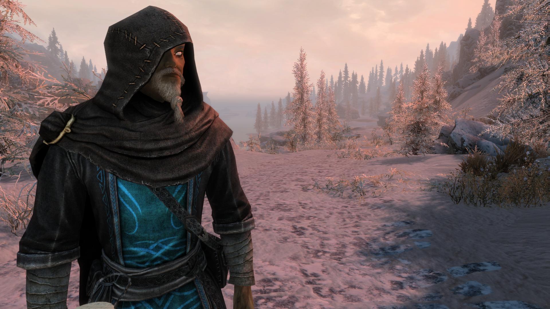 skyrim build mage