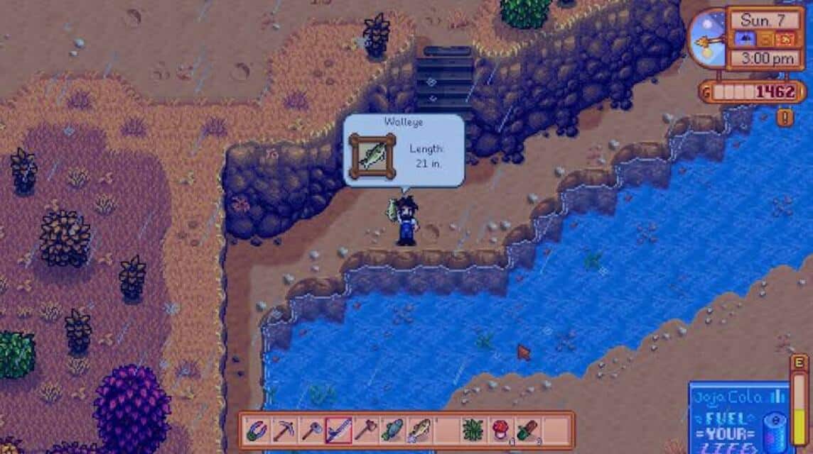 stardew walleye location