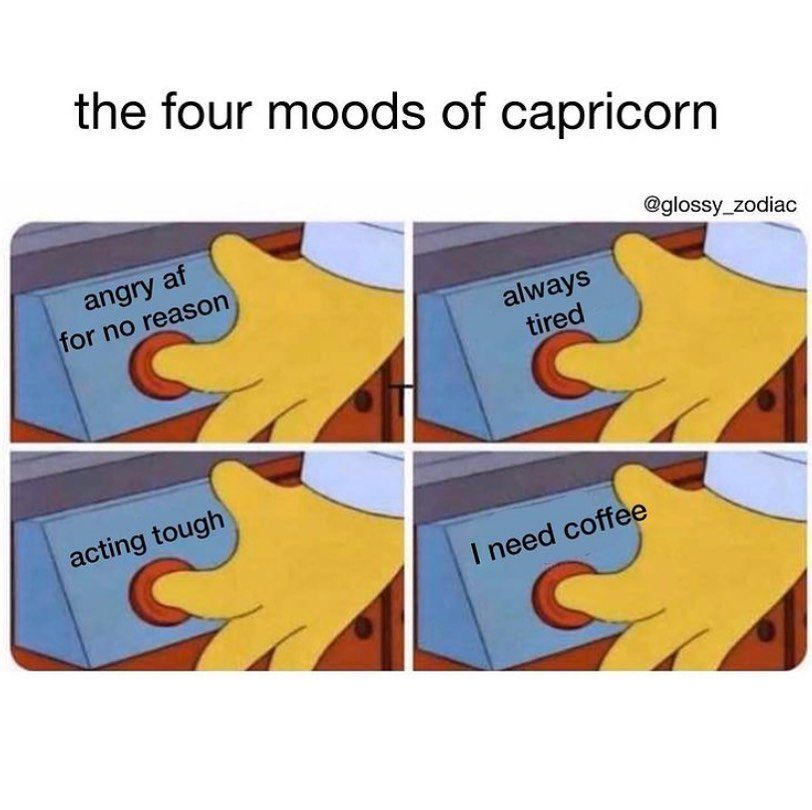 capricorn memes