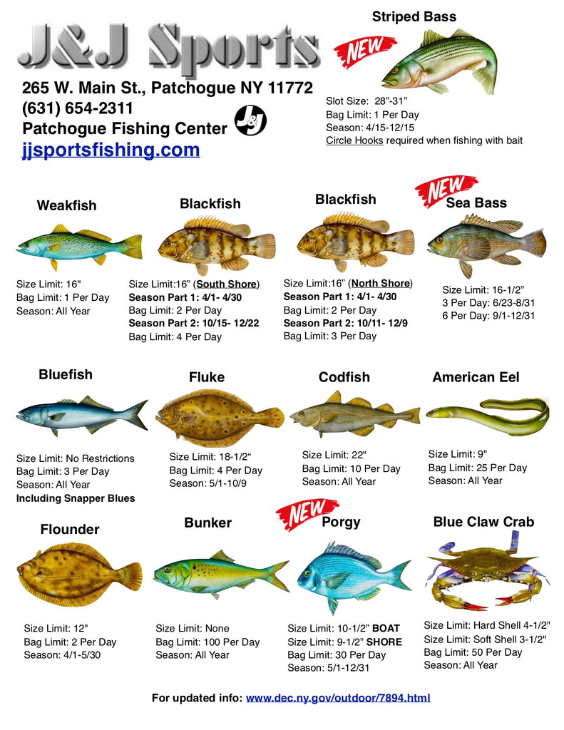 va saltwater fishing regs