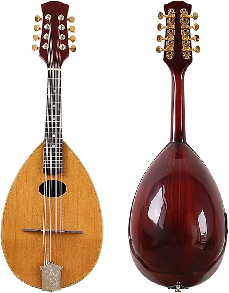 mandolin instrument amazon