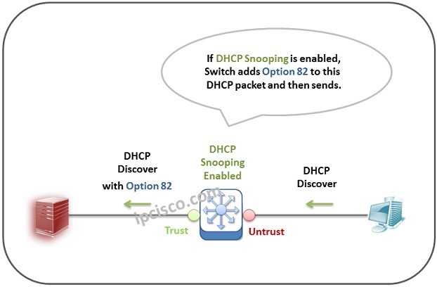 dhcp option 82