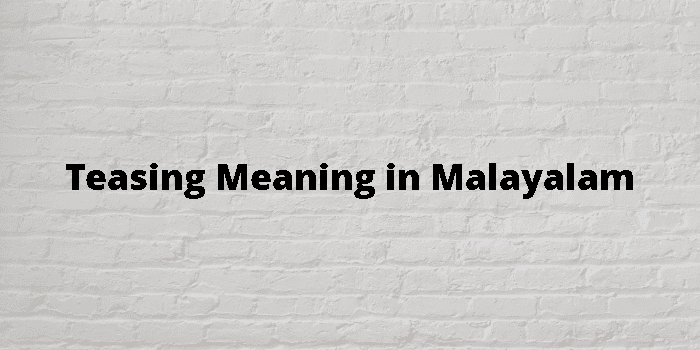 teasing meaning in malayalam