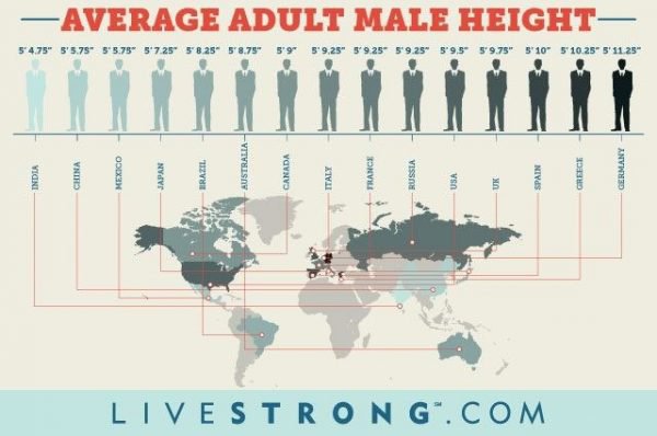 medium height in spanish