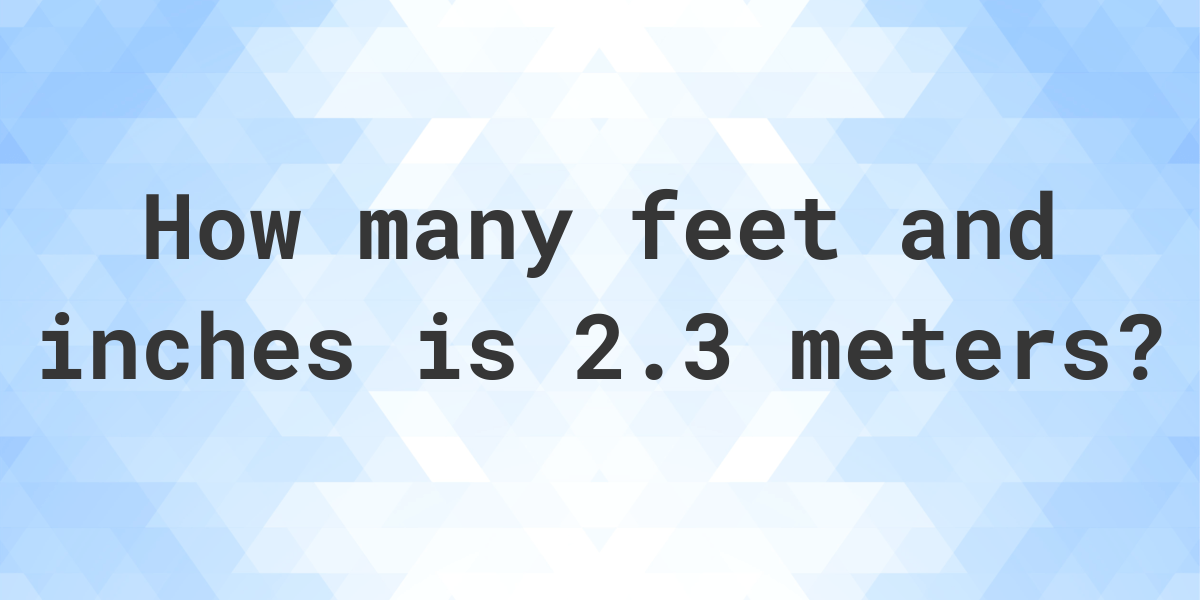 2.03 meters to feet