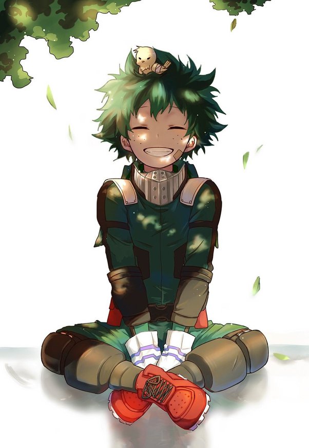 smart midoriya izuku