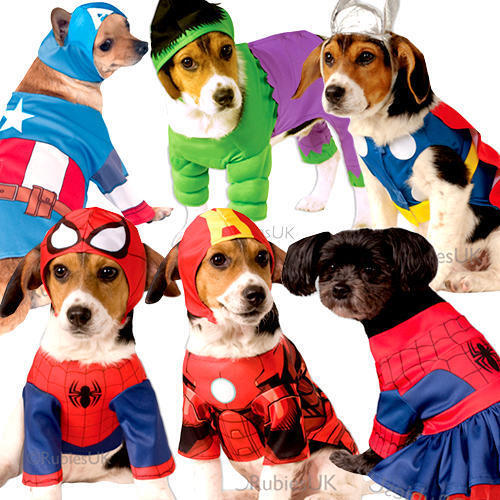 dog superhero costume