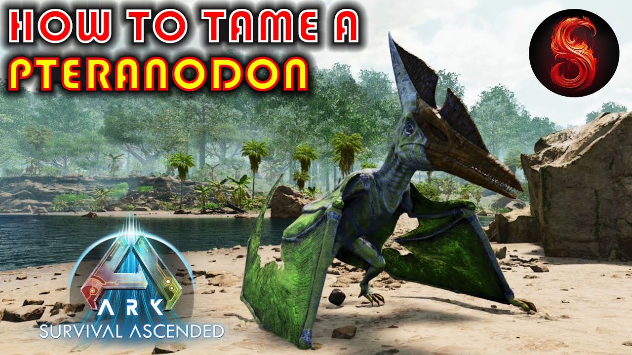 how to tame a pteranodon in ark