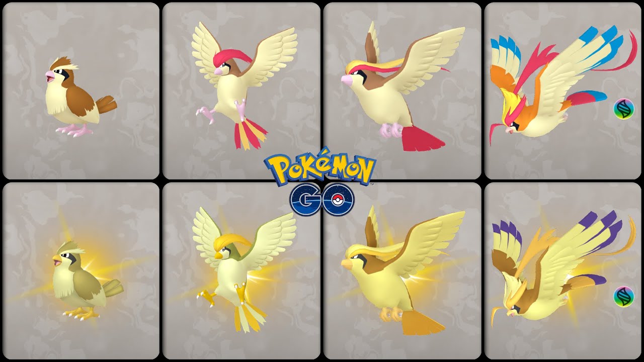 shiny pidgey vs normal