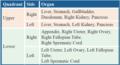 pain in abdomen icd 10