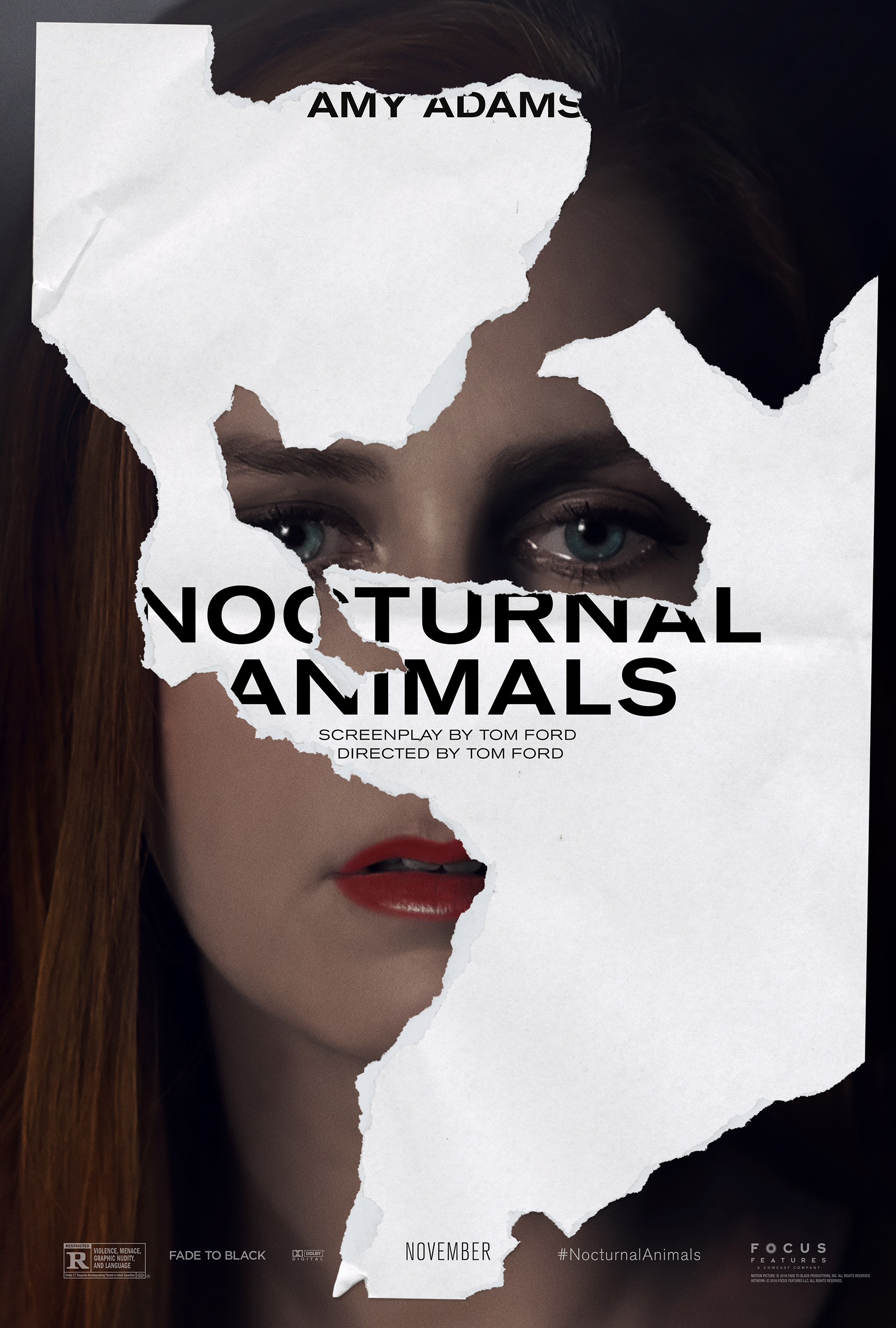 nocturnal animals stream