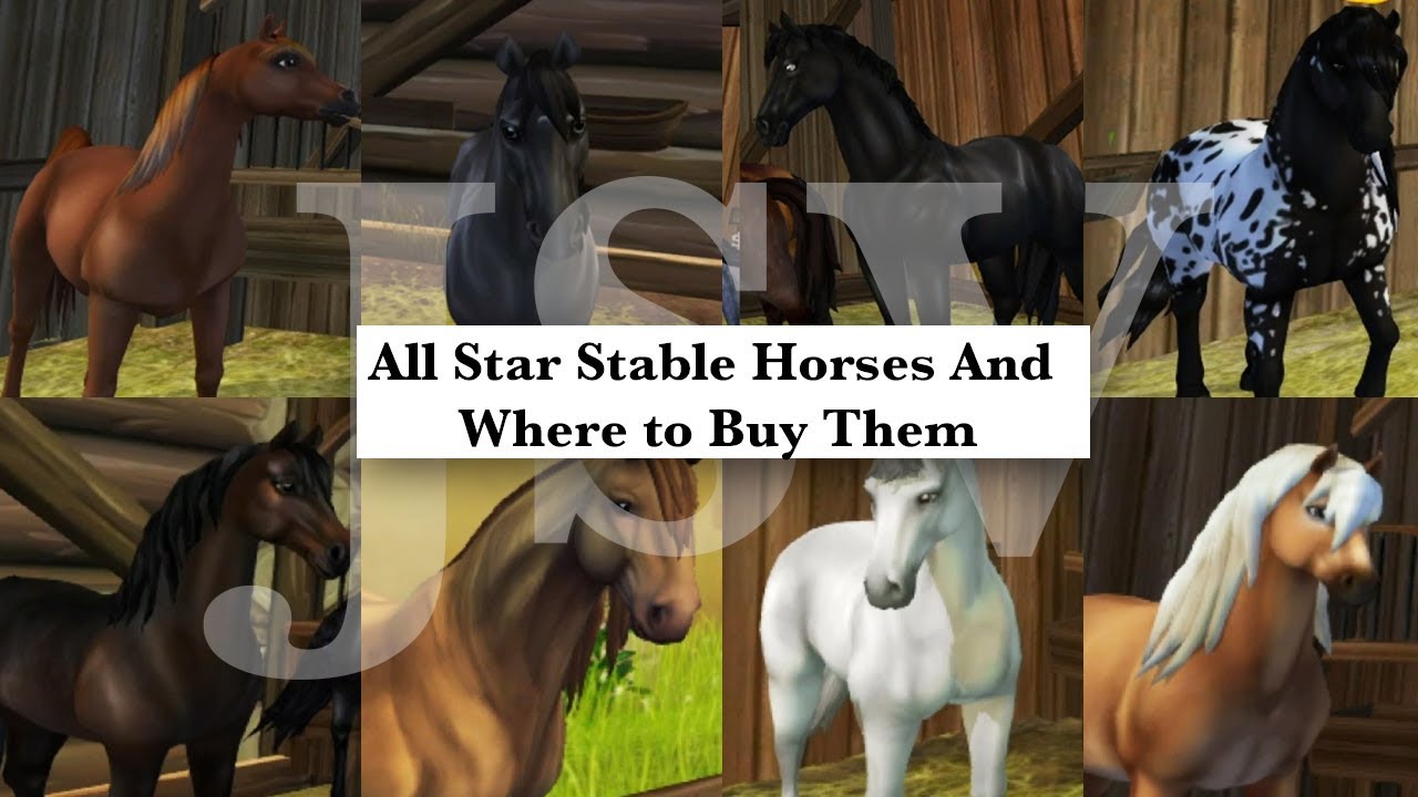 horses in sso