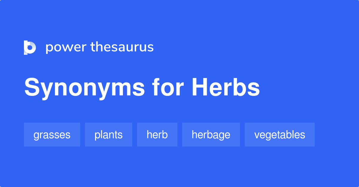 synonyms for herbs