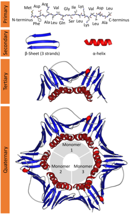 conformation synonym