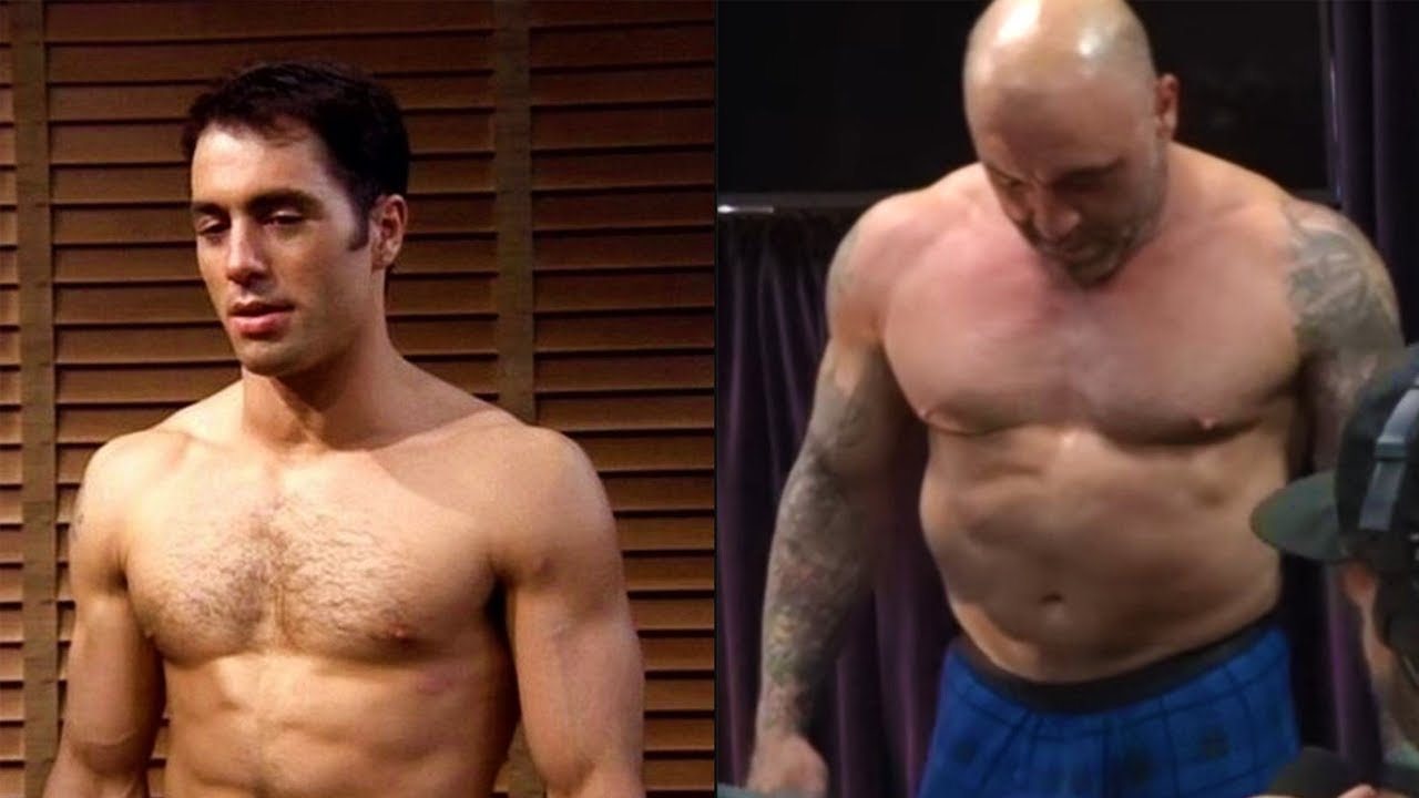 joe rogan abs