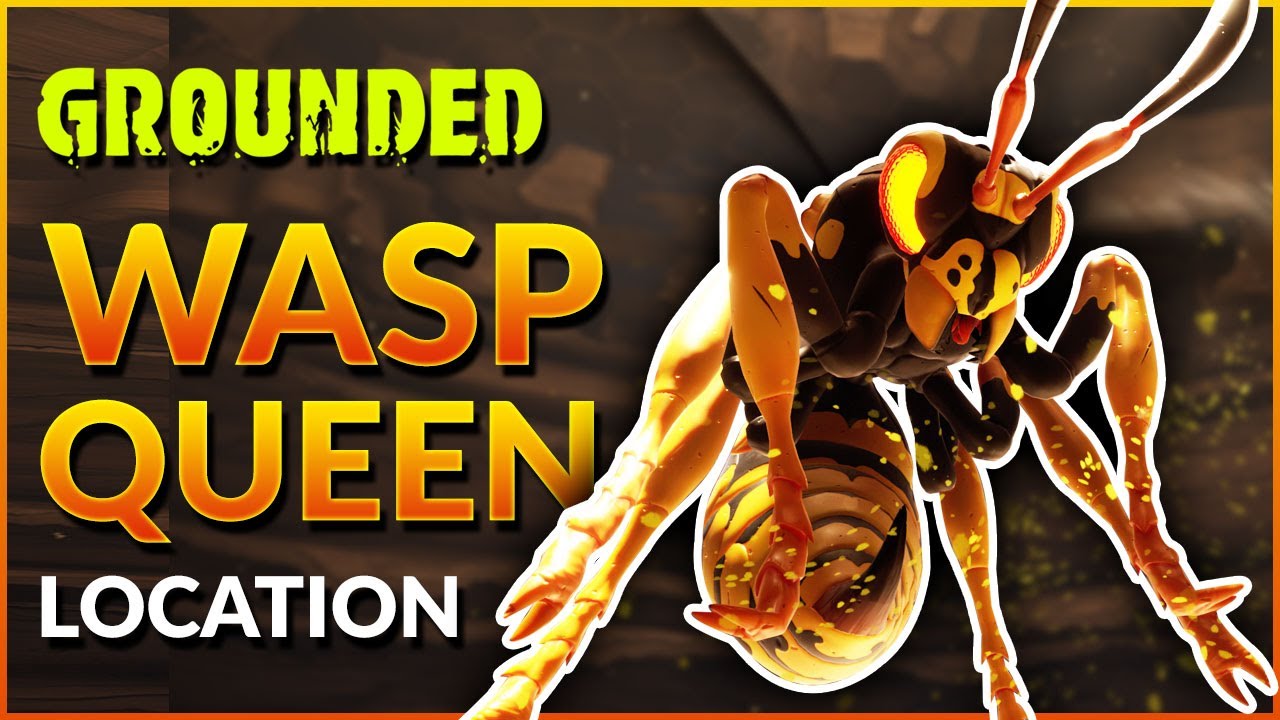 grounded wasp queen