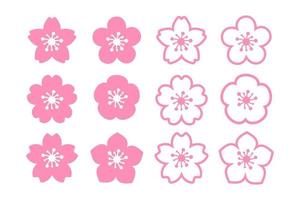 cherry blossom vector