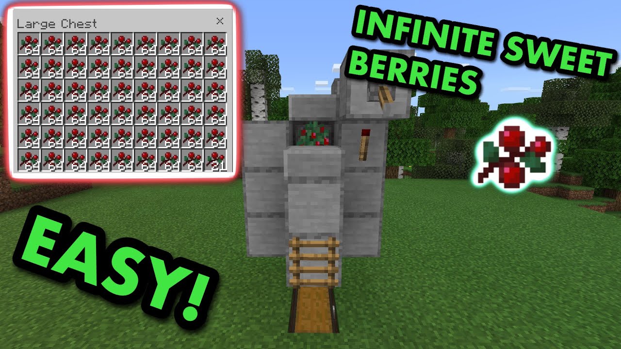 how to grow sweet berries in minecraft