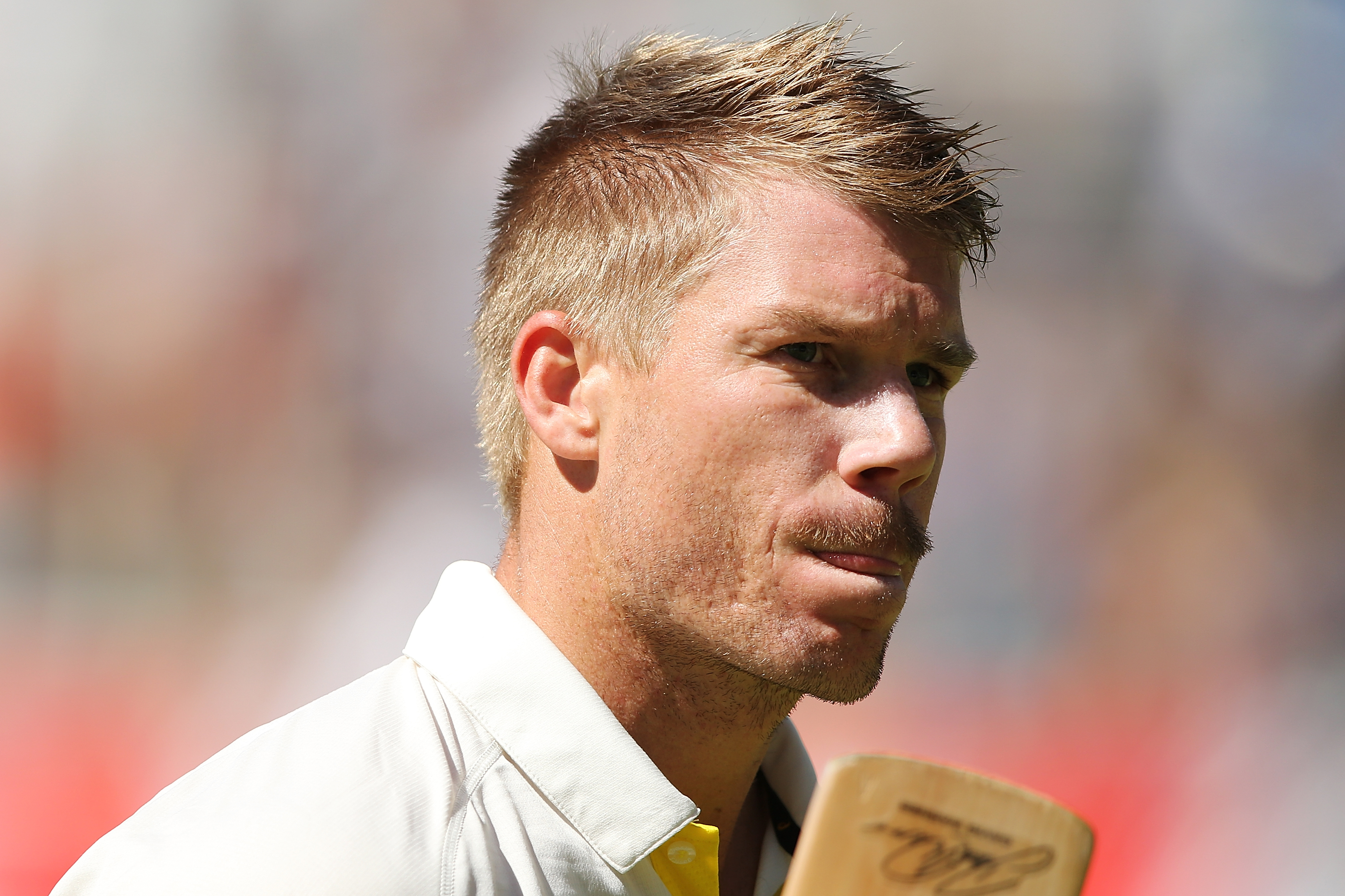 david warner hairstyle