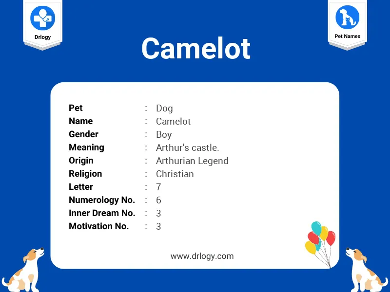 camelot meaning in hindi